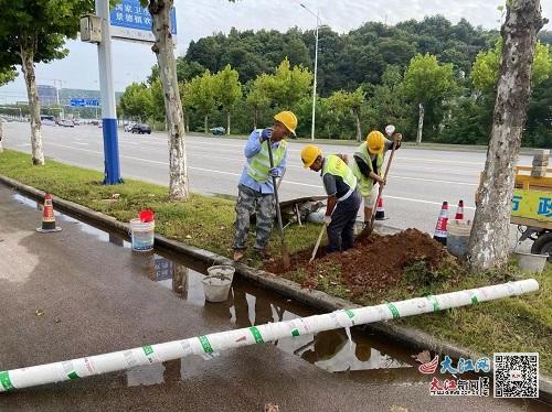 景德鎮(zhèn)市政公用集團(tuán)西河路人行道改造工程完工 圖