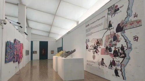 視覺關注 青春正好,國內各大美術院校畢業(yè)展來襲