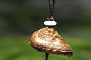 海灘驚現怪獸尸體掛件_天然沉香掛件廠家供應_買廠家供批發價格_歸于真(廈門)文化藝術-展銷頻道