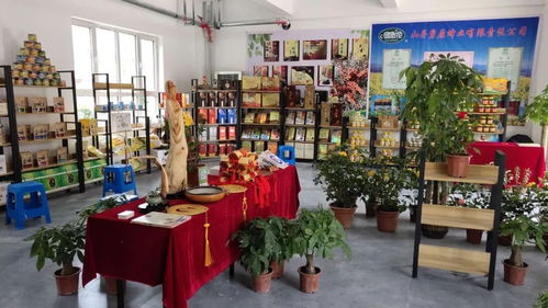 我縣文化精品閃耀張掖敦煌寫經書法藝術節