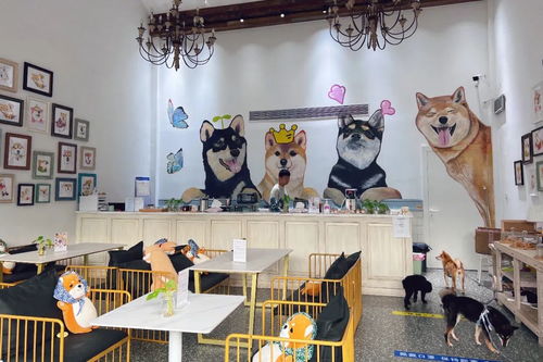 身邊的美學空間 蘇州這幾處公共文化體驗空間，文藝小資且充滿藝術靈感